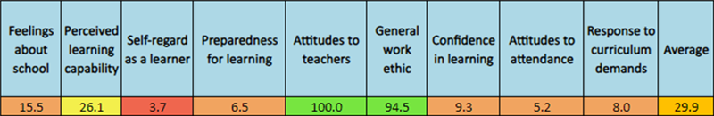 Data from a Year 3 pupil's PASS report showing a mixture of red, amber and green scores across the 9 factors