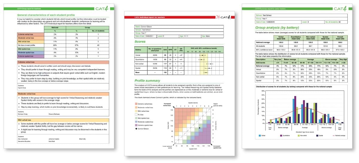 Screenshots of CAT4 reports