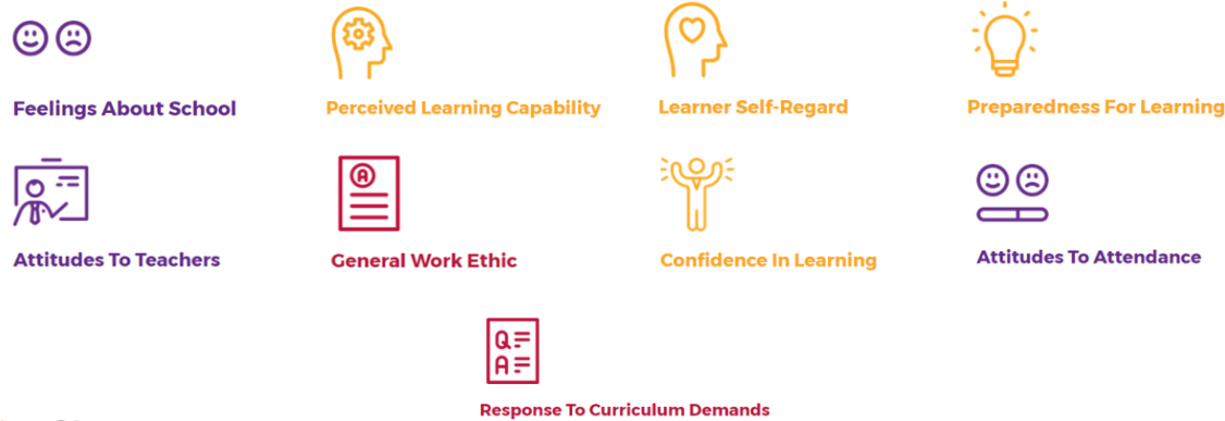 The PASS factors: Feelings About School, Perceived Learning Capability, Learner Self-Regard, Preparedness For Learning, Attitudes To Teachers, General Work Ethic, Confidence In Learning, Attitudes To Attendance, Response To Curriculum Demands