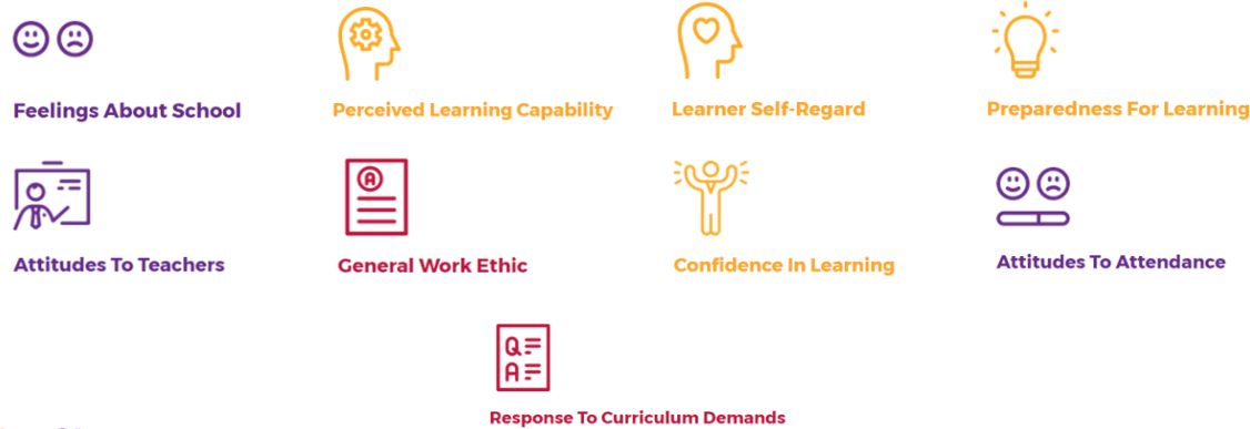 The PASS factors: Feelings About School, Perceived Learning Capability, Learner Self-Regard, Preparedness For Learning, Attitudes To Teachers, General Work Ethic, Confidence In Learning, Attitudes To Attendance, Response To Curriculum Demands